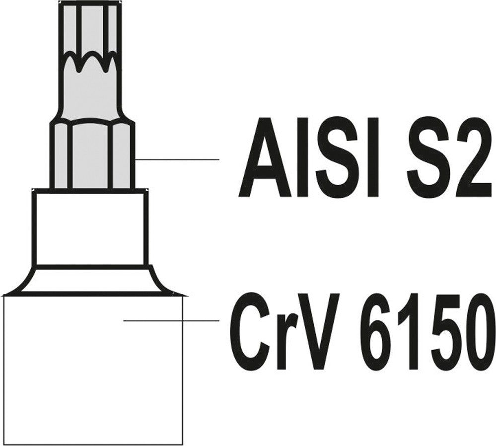 Įpresuotų antgalių rinkinys 1/4"+3/8", 12 vnt T-Star su skylėmis T8-T55 (YT-04332)