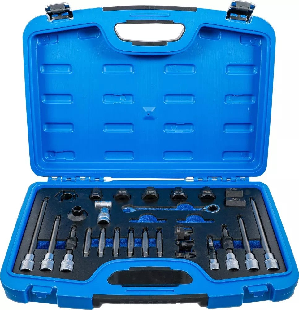 Generatoriaus įrankių rinkinys | 30 vnt. (4248)