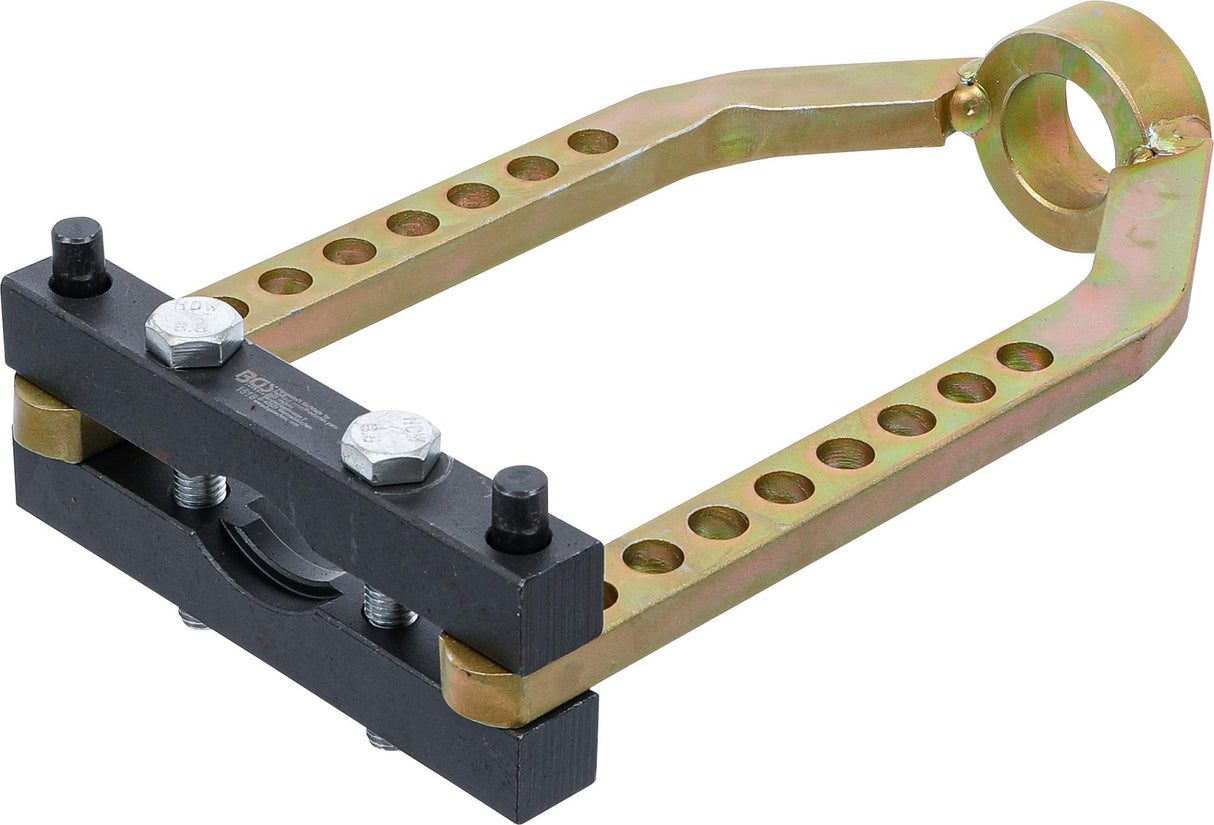 Pusašio nuėmėjas (1518)