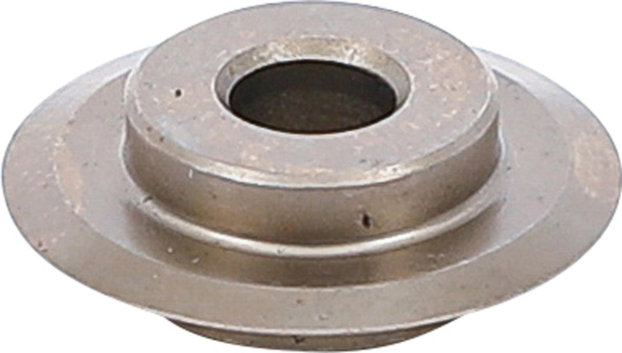 Standartinis pjovimo diskas BGS 66250 (66255)