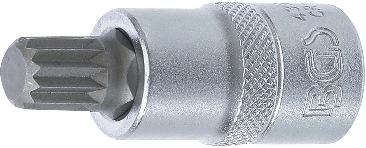 Antgalis įpresuotas į galvutę | 12,5 mm (1/2") | Spline (XZN) M12 (4354)