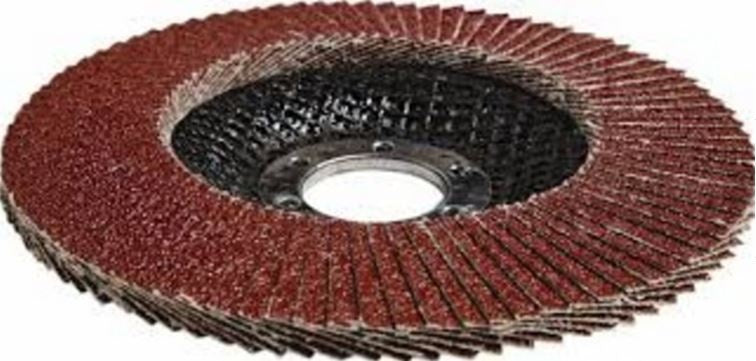 Šlifavimo diskas lapelinis | išgaubtos formos | P80 | 125X22,2 mm (ES814080)