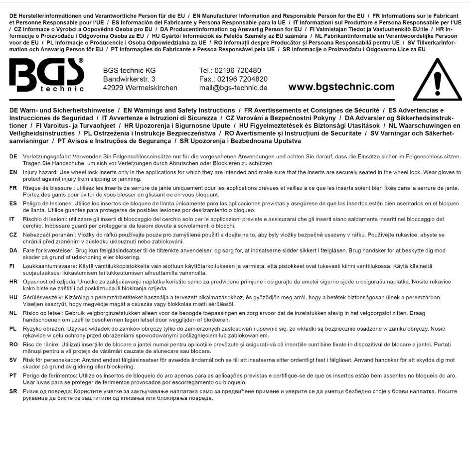 Ratlankių užrakto išmontavimo įrankių rinkinys | atbulinis plaktukas | BMW, MINI | 4 vnt. (6928)