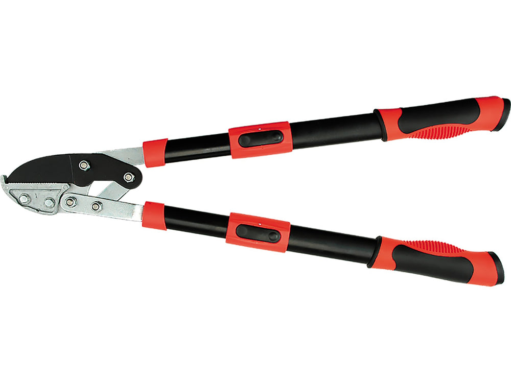 Sodo sekatorius teleskopinis | 660 - 910 mm (YT-8842)