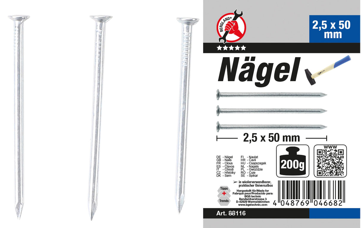 NAIL ASSORTMENT | 200 G | 2.5 X 50 MM (88116)