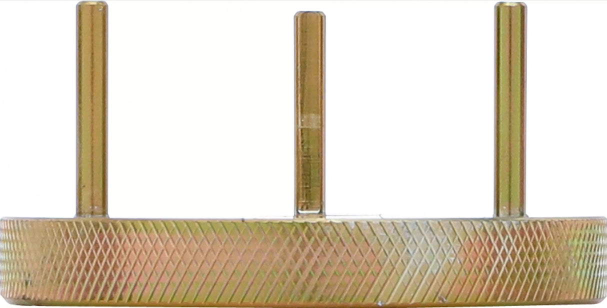 Dyzelino siurblių nustatymo ir fiksavimo nustatymo įrankis | Renault, Mitsubishi, Opel (8281)