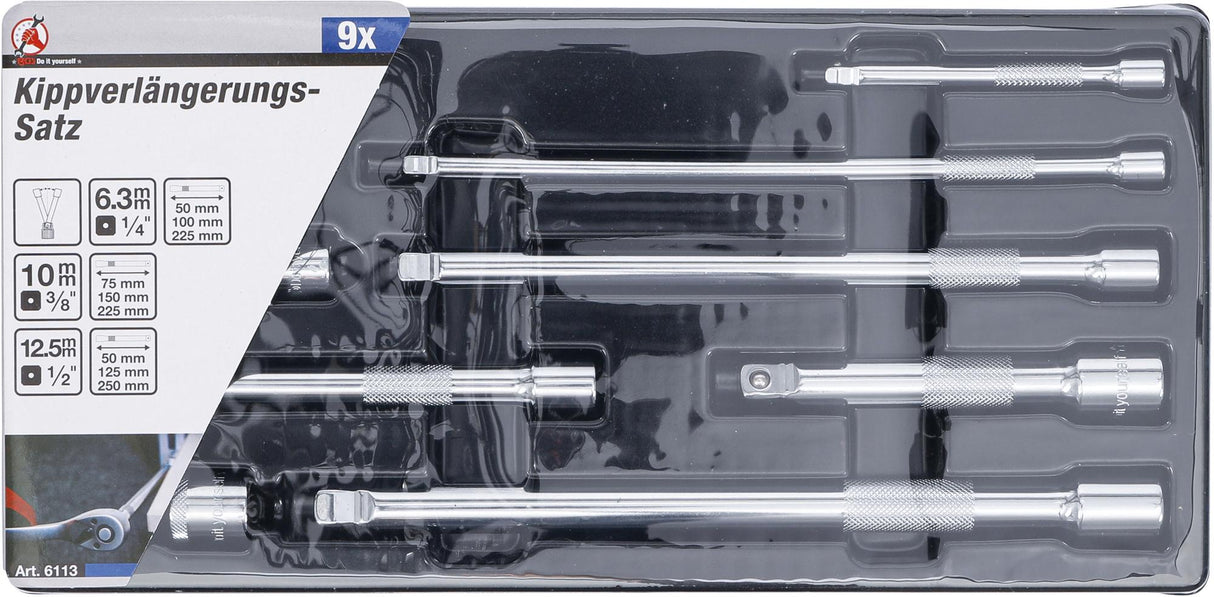 Ilgintuvų rinkinys | šarnyriniai | 6.3 mm (1/4") / 10 mm (3/8") / 12,5 mm (1/2") | 9 vnt. (6113)