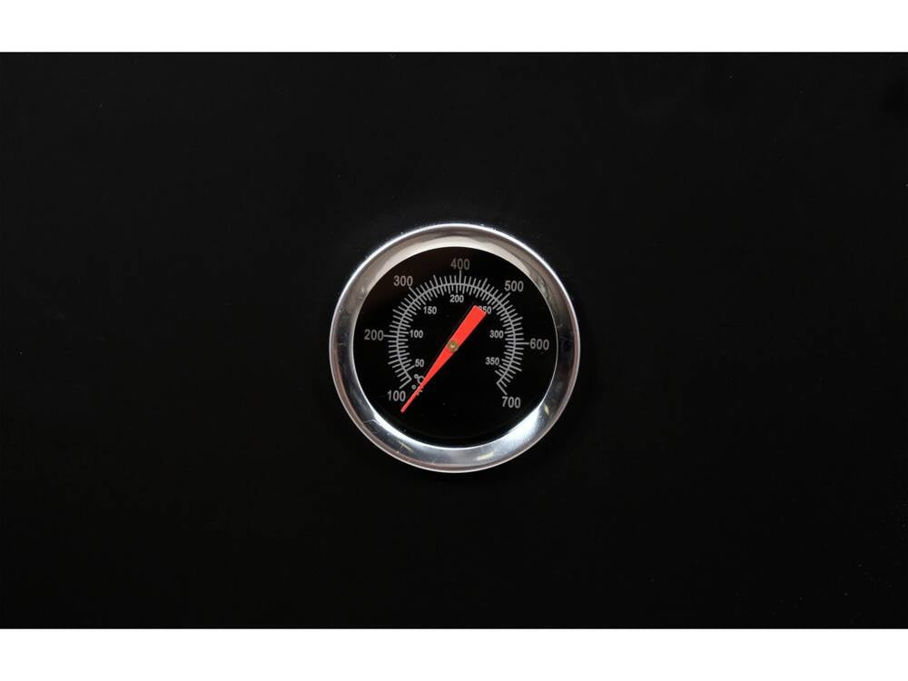 Rūkykla | plieninė | 54 X 51 X 100 cm (99916)