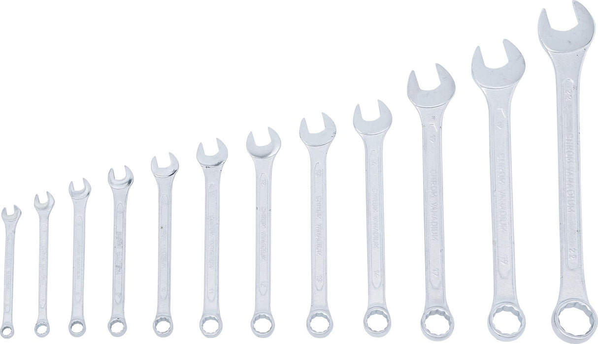 Kombinuotų raktų rinkinys (DIN 3113) | 6 - 22 mm | 12 vnt. (1194)