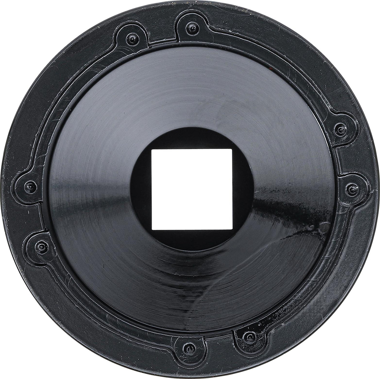 Galvutė su vidiniais dantukais | KM11 (8327-11)