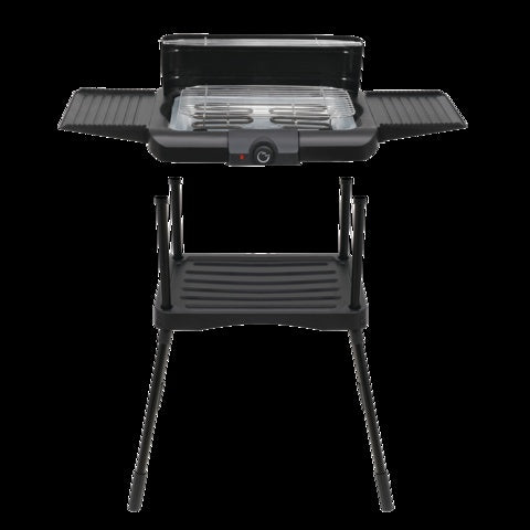 Elektrinis grilis | 2000W 36 X 22,5 cm (67423)