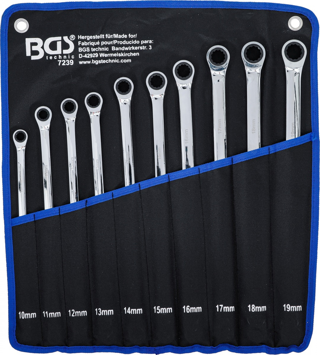 Terkšlinių ir žiedinių veržliarakčių rinkinys | dvipusiai | ilgas tipas | 10 - 19 mm | 10 vnt. (7239)