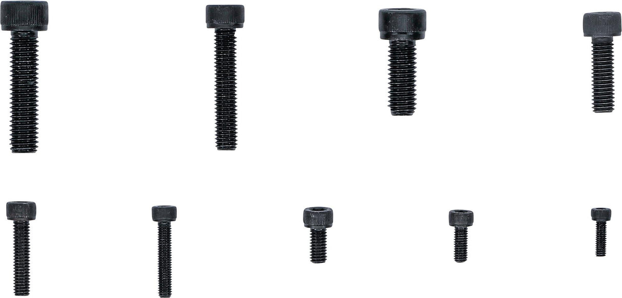 Cilindrų galvutės varžtų asortimentas | vidinis šešiakampis | 106 vnt. (14140)