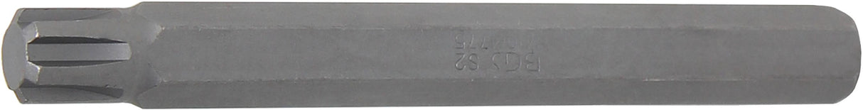 Antgalis | ilgis 100 mm | 10 mm (3/8") | Spline (RIBE) M10 (4775)