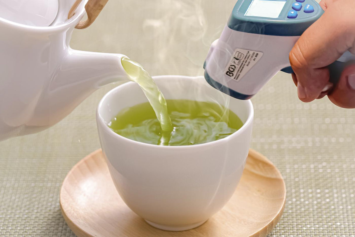 Kaktos termometras bekontaktis, infraraudonųjų spindulių | žmonėms + objektų matavimas 0 - 100 ° (6007)