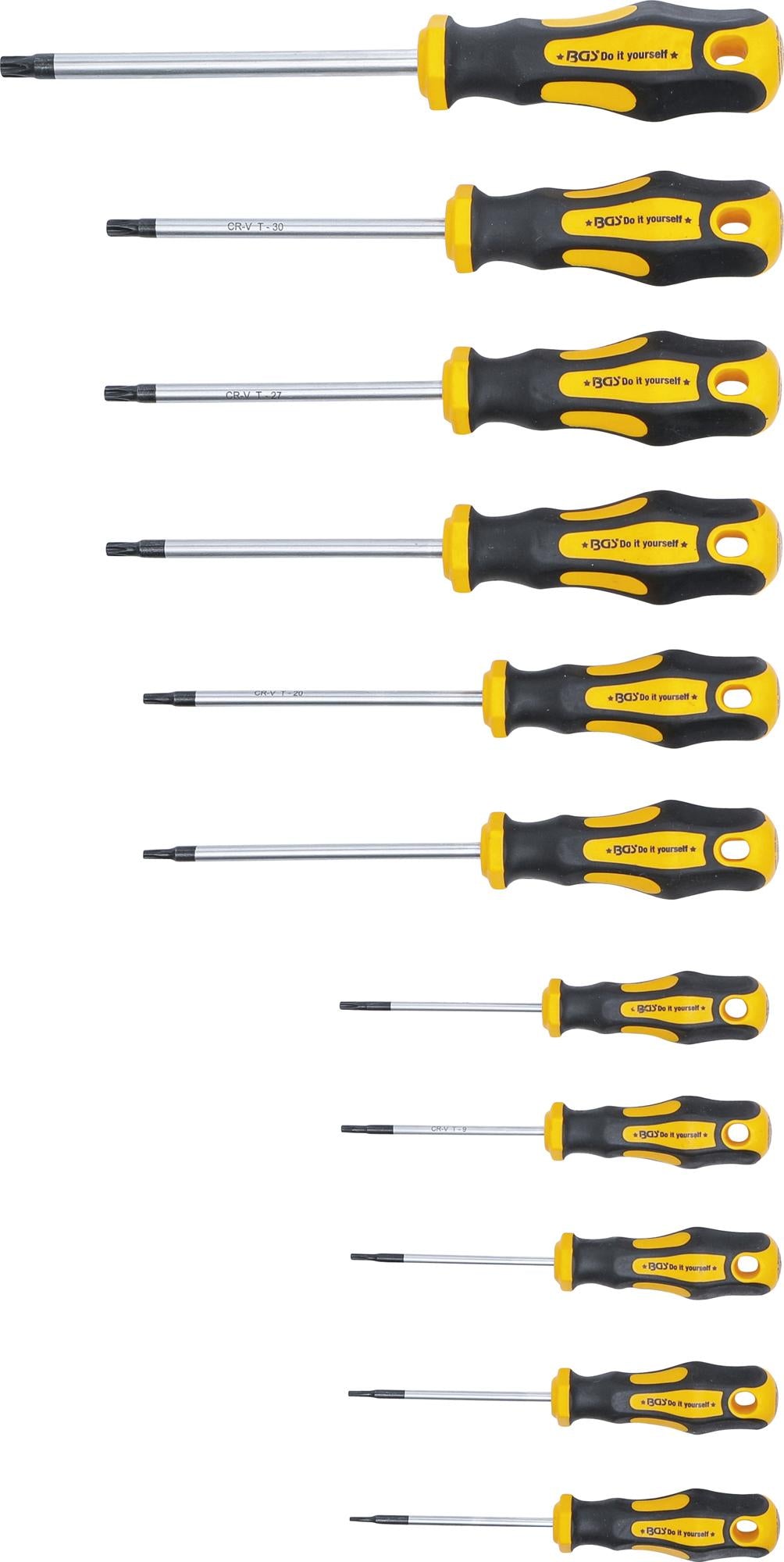 Atsuktuvų rinkinys | T-Star su skyle (Torx) | T6-T40 | 11 vnt. (7845)