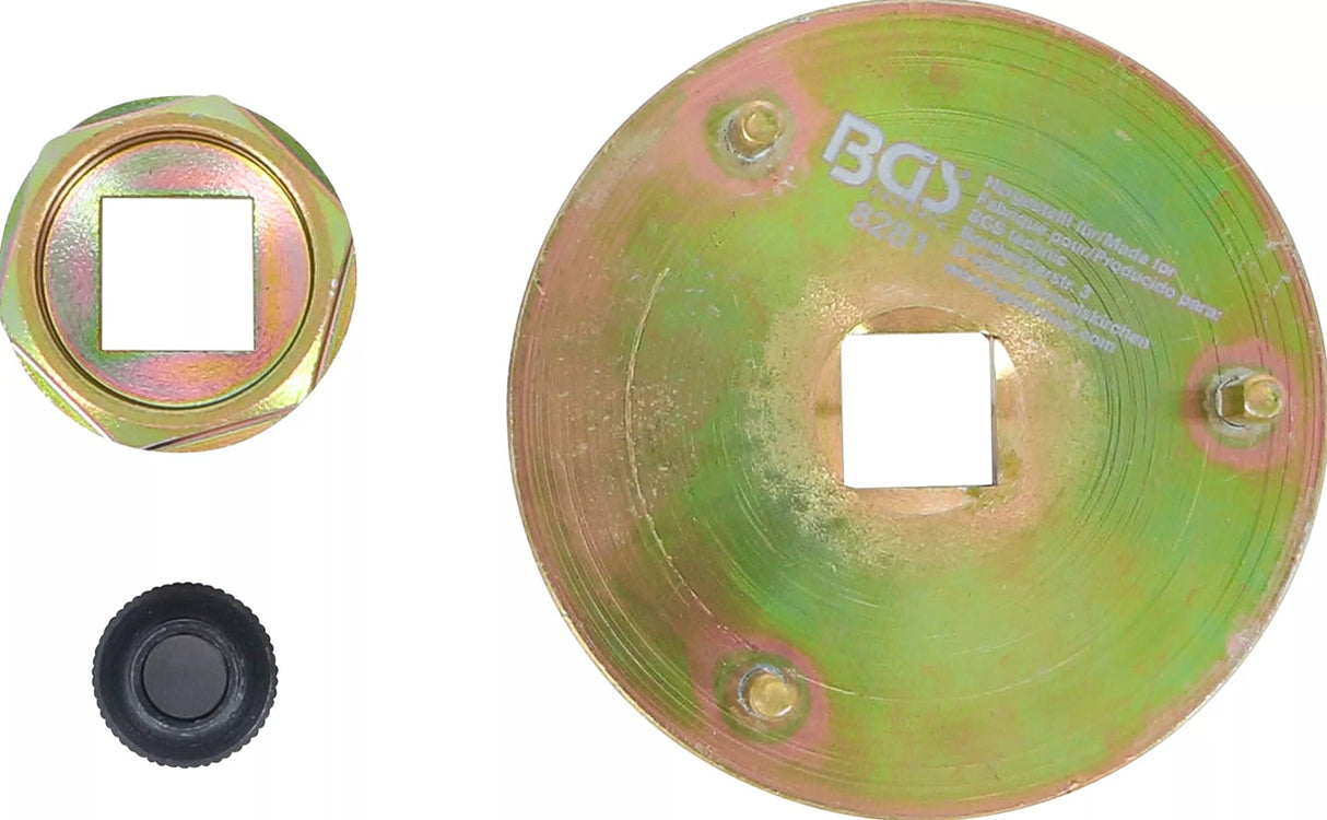 Dyzelino siurblių nustatymo ir fiksavimo nustatymo įrankis | Renault, Mitsubishi, Opel (8281)