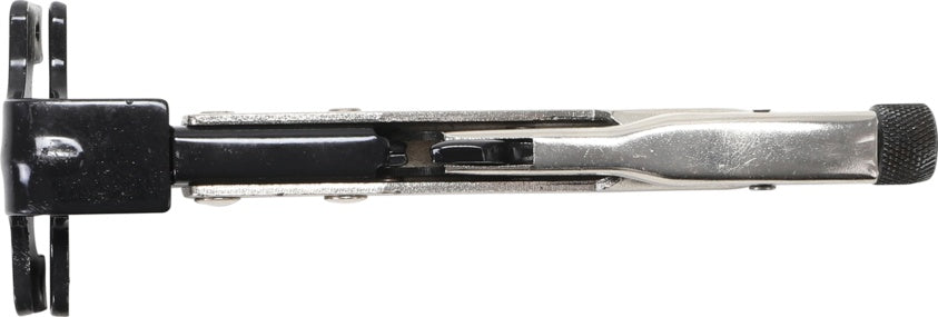 Fiksuojamos replės | su greito atleidimo svirtimi | 225 mm (480)