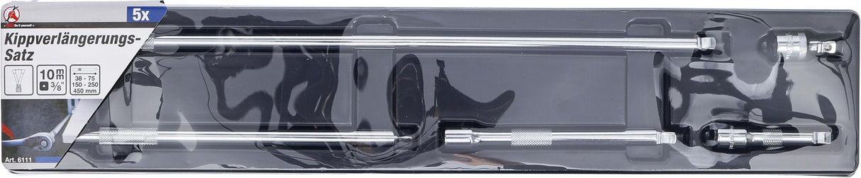 Ilgintuvų rinkinys | šarnyriniai | 10 mm (3/8") | 5 vnt. (6111)