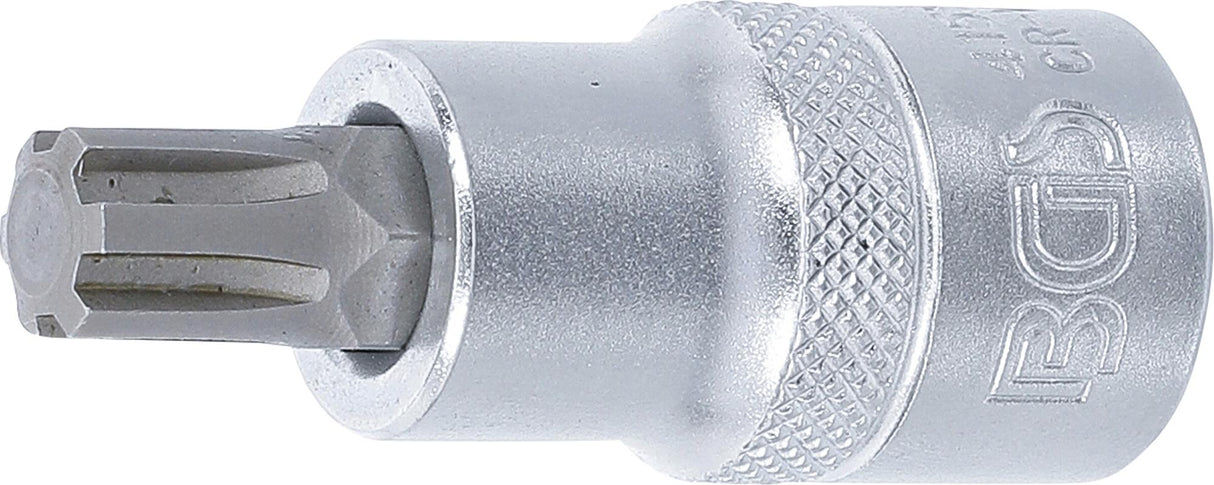 Antgalis | ilgis 55 mm | 12,5 mm (1/2") | Spline (Ribe) M10 (4155)