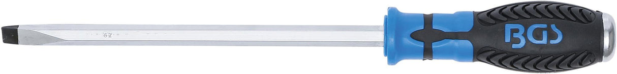 Atsuktuvas kalamas | Plokščias 10 mm | Ašmenų ilgis 200 mm | su 6.3 (1/4") skyle rankenoje (4906)