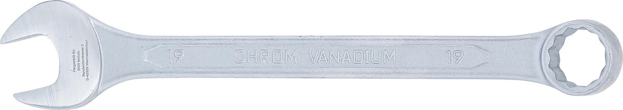 Raktas kombinuotas | 19 mm (1069)