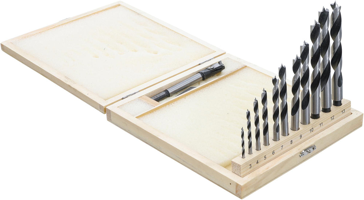 Centrinių grąžtų / medienos grąžtų rinkinys 14 vnt. (50403)