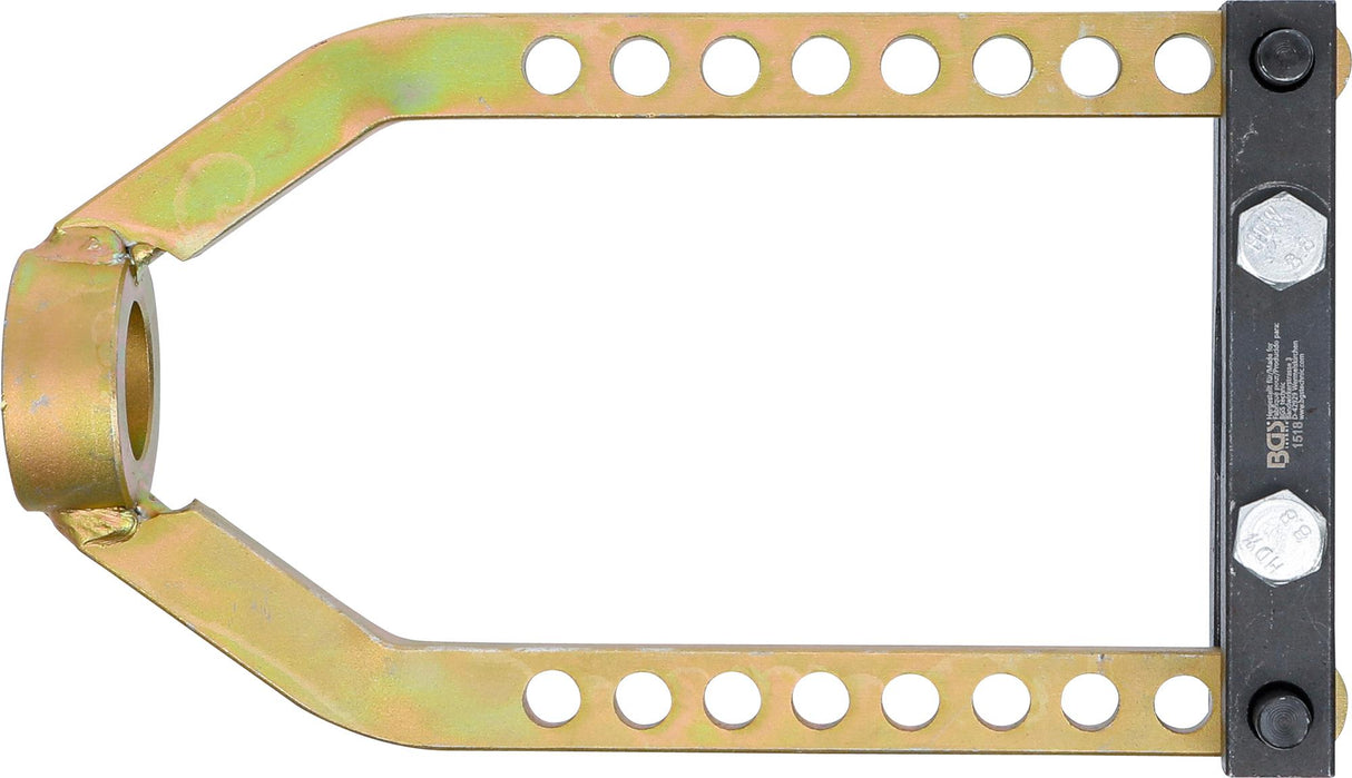 Pusašio nuėmėjas (1518)