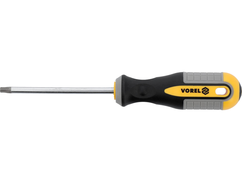 TORX Atsuktuvas T30x100 mm CRV (60890)