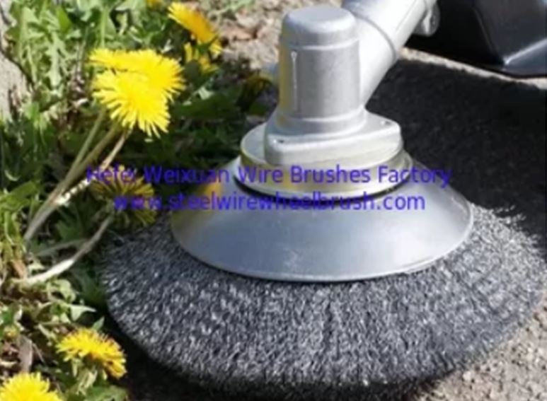 Šepetys puodo tipo | trimeriams | minkštas | 200 mm (DB0200W)