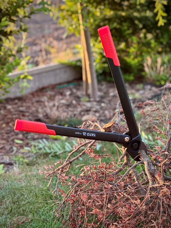 Pruning shears with nylon handles | 480 mm | 25 mm (YT-88307)