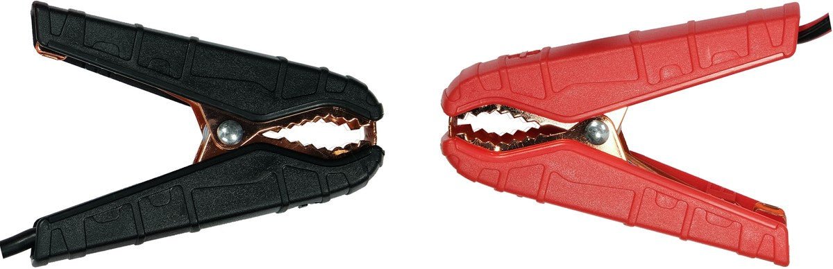 Pakrovėjas 6 V ir 12 V akumuliatorių įkrovimui | 12V/2A/8A/15A (YT-83003)