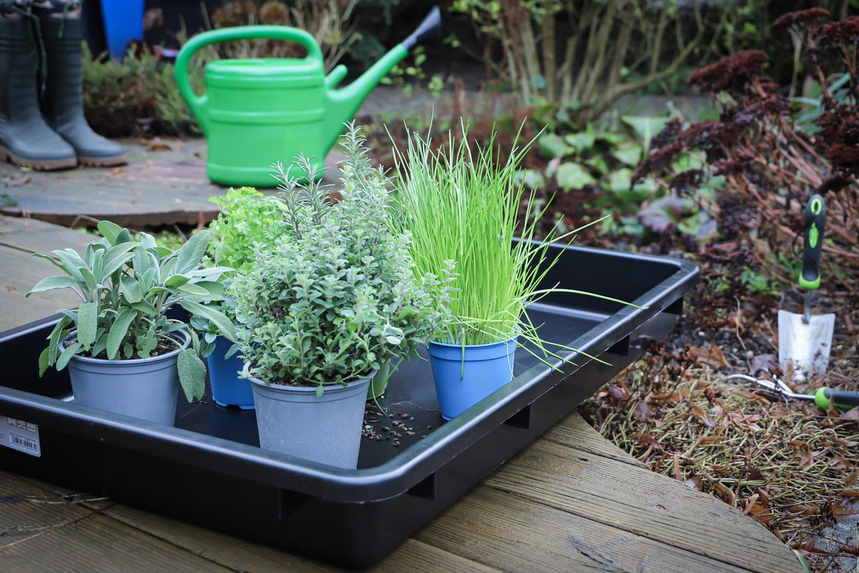 Vonelė (padonas) 880 x 600 x  100 mm skysčių nutekėjimui 50l (9997)