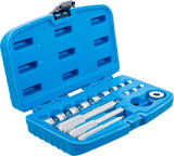 Guolių dreifo rinkinys | 16 vnt. (1524)