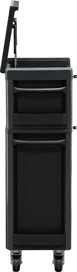 Įrankių spintelė su ratukais | Pro Standard Max | 12 stalčiių | su 296 įrankiais (4088)