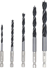 Grąžtų medžiui rinkinys | 1/4" antgalis | 6 - 14 mm | 5 vnt. (50799)