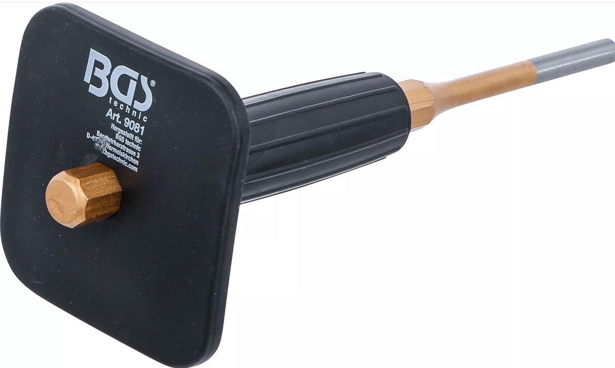 Iškalėjas su gumine rankena | 225 mm | 8 mm (9081)