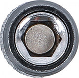 Ilgintuvas šepečiams | iš BGS 3078 | vidinis šešiakampis 6,3 mm (1/4") | 150 mm (3078-3)