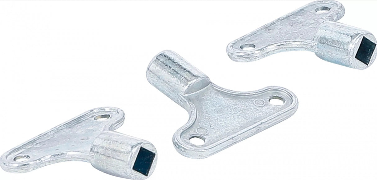 Radiatoriaus nuorinimo raktų rinkinys | 3 vnt. (50505)