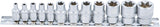 Galvučių rinkinys E-Tipas | 6.3 mm (1/4") / 10 mm (3/8") | 12 vnt. (2038)