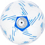 Futbolo kamuolys BGS® (91020)