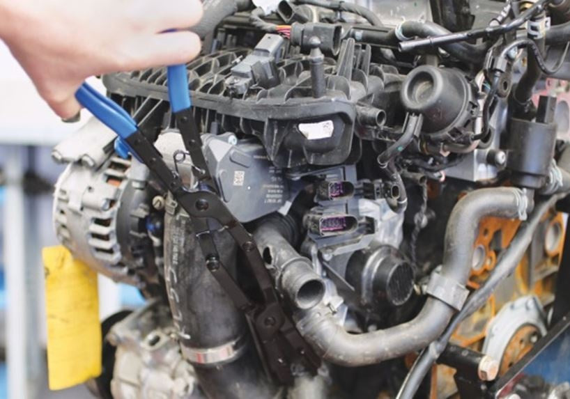 Replės įvairaus tipo žarnų sąvaržoms | dvigubas šarnyras / lenktos | 0 - 50 mm | 430 mm (SK2517)