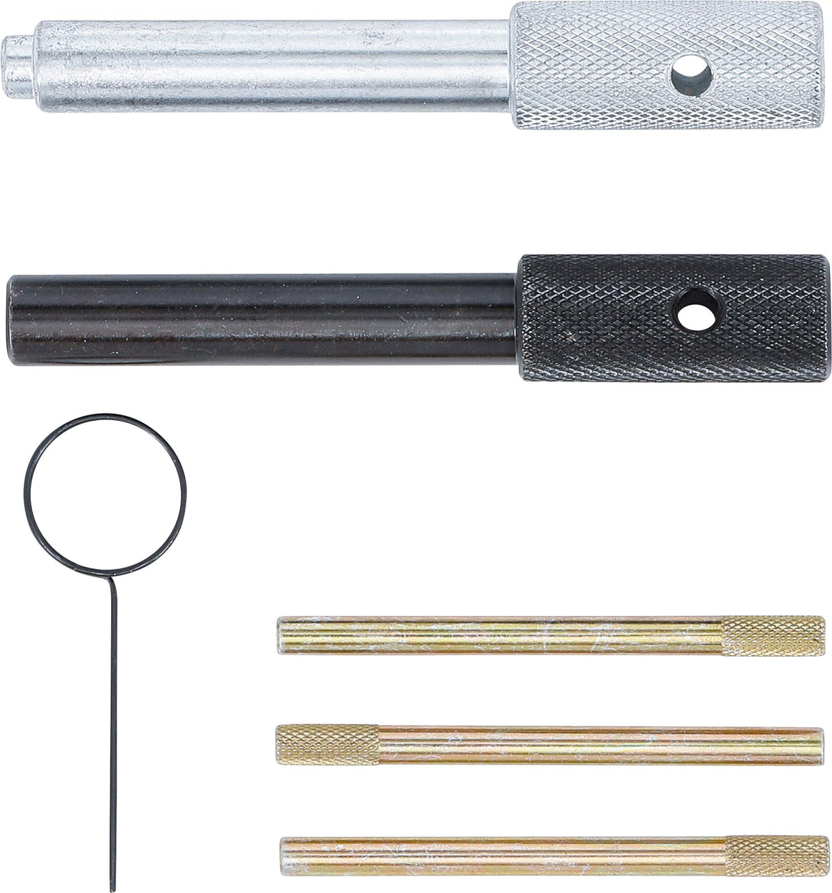 Variklio fiksavimo rinkinys | Ford Duratorq 2.0, 2.4 Diesel (8672)