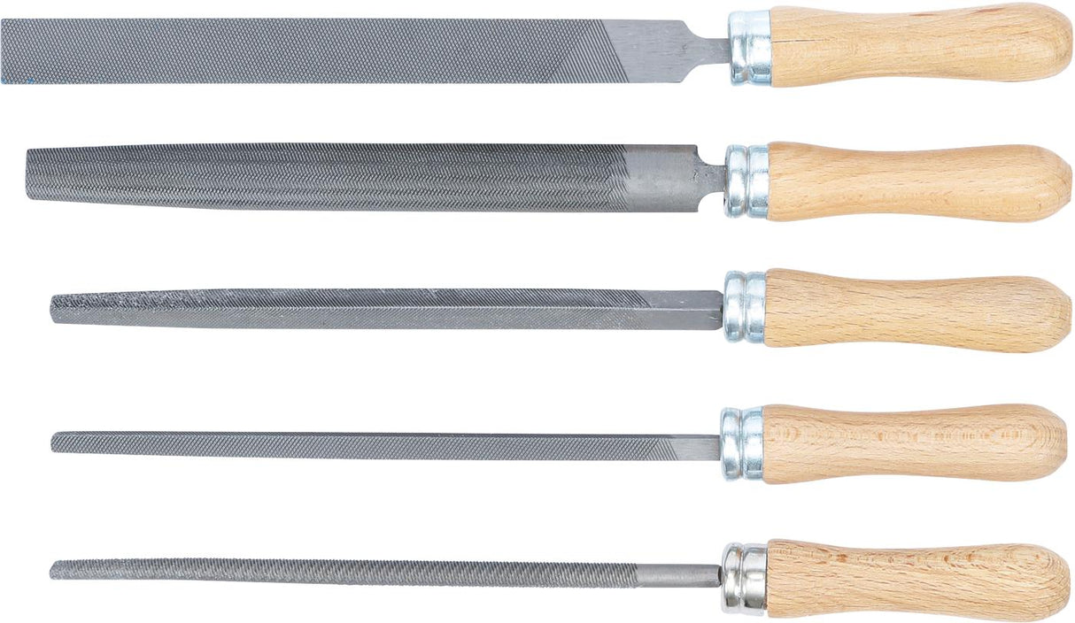 Dildžių rinkinys | Medinė rankena | 200 mm | 5 vnt. (50208)