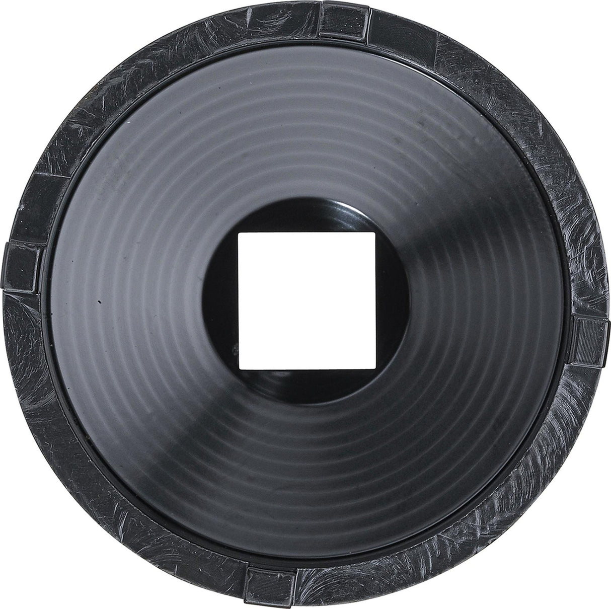 Galvutė su išoriniais dantukais | KM12 (8337-12)