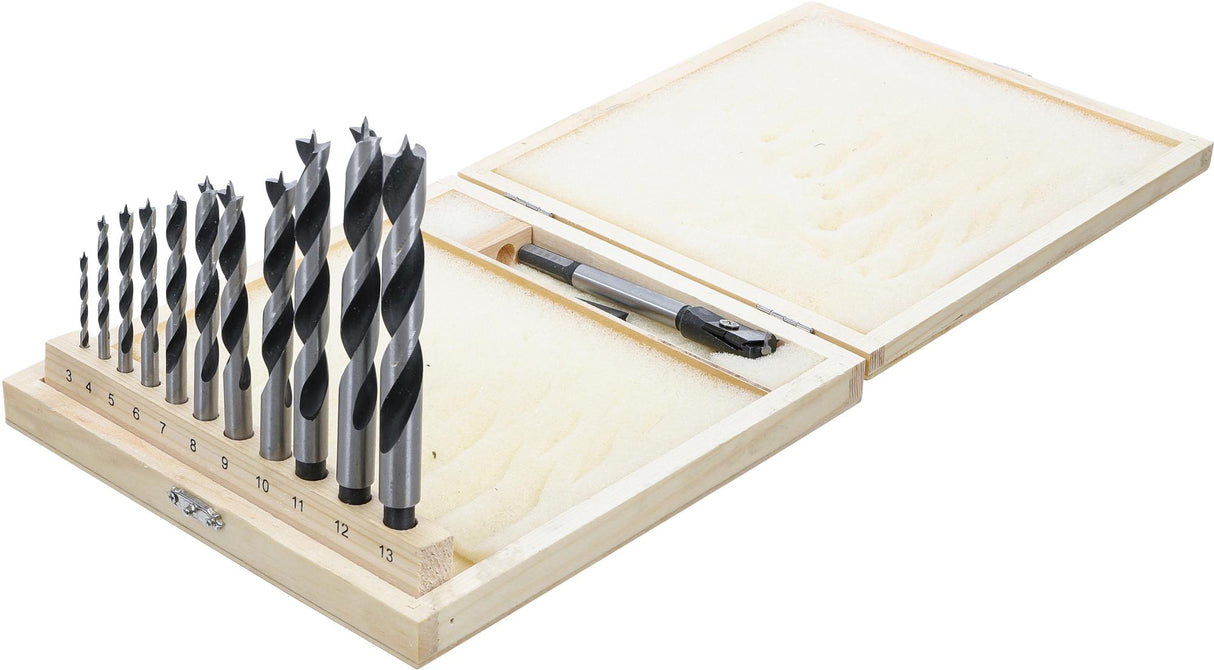 Centrinių grąžtų / medienos grąžtų rinkinys 14 vnt. (50403)