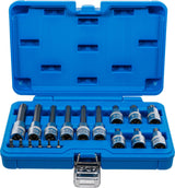 Įpresuotų antgalių rinkinys | 6.3 mm (1/4") / 12.5 mm (1/2") | T-star (Torx) | 18 vnt. (5173)