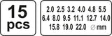 Skylių išmušėjų odoje rinkinys | 2-22 mm | 15 vnt. (YT-3591)