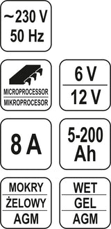 Mikroprocesorinis impulsinis auto pakrovėjas | 6/12V 8A 5-200ah (YT-8301)