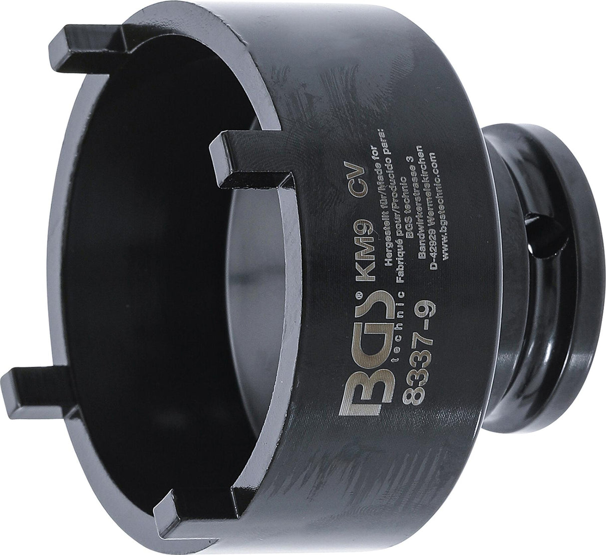 Galvutė su išoriniais dantukais | KM9 (8337-9)